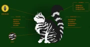 Kimalaisraidan profiili virallisella Warrior Cats -sivustolla.