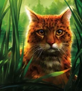 Leoparditähti-ES-14-KK.png (394 KiB) Leoparditähti kirjan Leopardstar's Honor kokonaisessa kannessa.