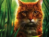 Leoparditähti