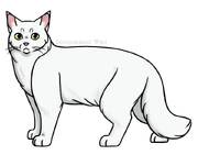 SKW-Valkomyrsky-aikuinen.png (144 KiB) Aikuisena