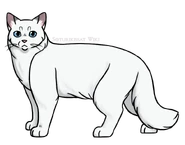 SKW-Lumiturkki-aikuinen.png (143 KiB) Aikuisena