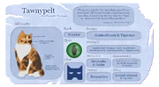 Keltaturkki-tietosivu.png (2,3 MiB) Keltaturkin tietosivu virallisella Warrior Cats -sivustolla.