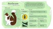 Aurinkosäteen tietosivu virallisella Warrior Cats -sivustolla.