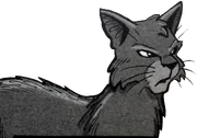 Teräkynsi-ES-3.png (641 KiB) Teräkynsi kirjan SkyClan's Destiny sarjakuvassa.