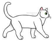 SKW-Valkosiipi-nuori.png (112 KiB) Nuorena