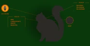 Keltahampaan profiili virallisella Warrior Cats -sivustolla.