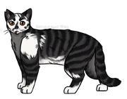 SKW-Ohdakekynsi-aikuinen.png (275 KiB) Aikuisena