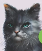 Sinitähti kirjan Sinitähden tarina kannessa.