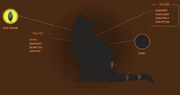 Yötähden profiili virallisella Warrior Cats -sivustolla.