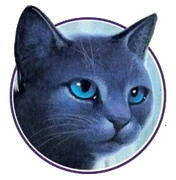 Sinitähti kirjan Bluestar's Prophecy kannessa.