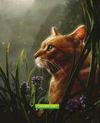 Teräkynsi-KK-8.png (2,11 MiB) Teräkynsi kirjassa Opas klaanien maailmaan.