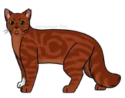 SKW-Oravaliito-aikuinen.png (225 KiB) Aikuisena