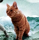 Oravaliito-Kuunmerkki.png (38 KiB) Oravaliito kirjan Kuun merkki kannessa.