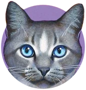 Pilvitähti novellin Pilvitähden taival kannessa.