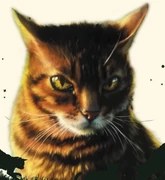 Tiikerisydän kirjan Tiikerisydämen varjo kannessa.