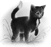 Korppitassu-KK-3.jpg (44 KiB) Korppitassu kirjassa Klaanien laki.