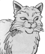 Valkomyrsky kirjan Bluestar's Prophecy sarjakuvassa.