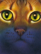 Oravatassu kirjan Dawn kannessa.