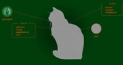 Varpuoksan profiili virallisella Warrior Cats -sivustolla.