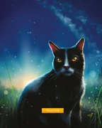 Pitkätähti-KK-8.png (2,03 MiB) Pitkätähti kirjassa Opas klaanien maailmaan.