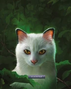 Mustatähti-KK-8.png (2,05 MiB) Mustatähti kirjassa Opas klaanien maailmaan.