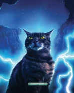 Harmaaraita kirjassa Opas klaanien maailmaan.