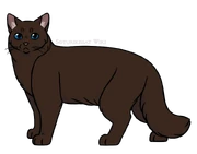 SKW-Ratamoraita-aikuinen.png (140 KiB) Aikuisena