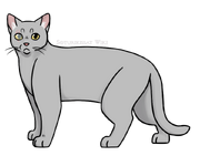 Aikuisena