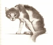 Pilvitähti kirjassa Klaanien taistelut.