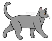 SKW-Nokiturkki-nuori.png (129 KiB) Nuorena