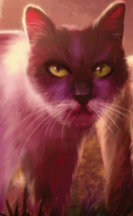 Fidgetflake-Sky-kansi