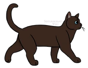 Nuorena, ennen loukkaantumista