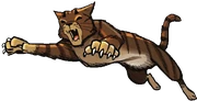 Haukkahalla sarjakuvaromaanissa A Shadow in RiverClan.