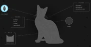 Varissulan profiili virallisella Warrior Cats -sivustolla.