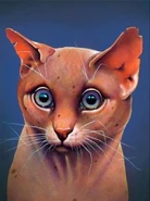 Kallio kirjassa The Ultimate Guide.