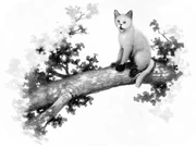 Mustatähti-KK-1.png (125 KiB) Mustatähti kirjassa Klaanien salaisuudet.