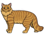 Aikuisena