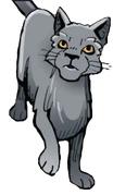 Nokiturkki-ATIT.png (56 KiB) Nokitassu sarjakuvaromaanissa A Thief in ThunderClan.