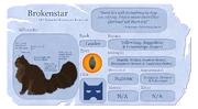 Rikkotähden tietosivu virallisella Warrior Cats -sivustolla.