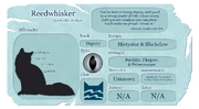 Ruokoviiksen tietosivu virallisella Warrior Cats -sivustolla.