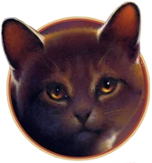 Vatukkakynsi-ES-7-EK.png (280 KiB) Vatukkatähti kirjan Bramblestar's Storm kannessa.