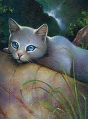 Kirkas Taivas