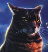 Bramblestar-dn.png (685 KiB) Vatukkatähti kirjan Synkin yö kannessa.