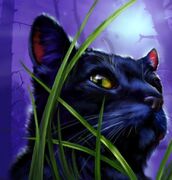 Lataus (14).jpg (85 KiB) Viimatassu kirjan Karkotus kannessa.