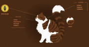 Aurinkosäteen profiili virallisella Warrior Cats -sivustolla.