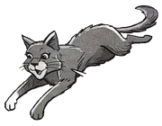 Squirrelstar-ES-12.png (129 KiB) Oravaliito kirjan Squirrelflight's Hope sarjakuvassa.