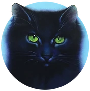 Paatsamalehti kirjan Sunrise kannessa.