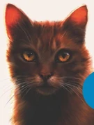 Vatukkakynsi-ES-7-UP.jpg (32 KiB) Vatukkatähti kirjan Vatukkatähden myrsky kannessa.