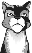 Monkeystar kirjan Graystripe's Vow sarjakuvassa.