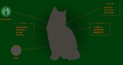Paatsamalehden profiili virallisella Warrior Cats -sivustolla.